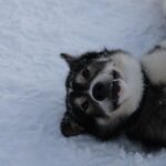 Workshop Körpersprache