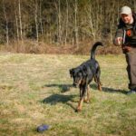 Dummy-Arbeit für Einsteiger